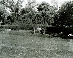 Image description is not available for 1955.048